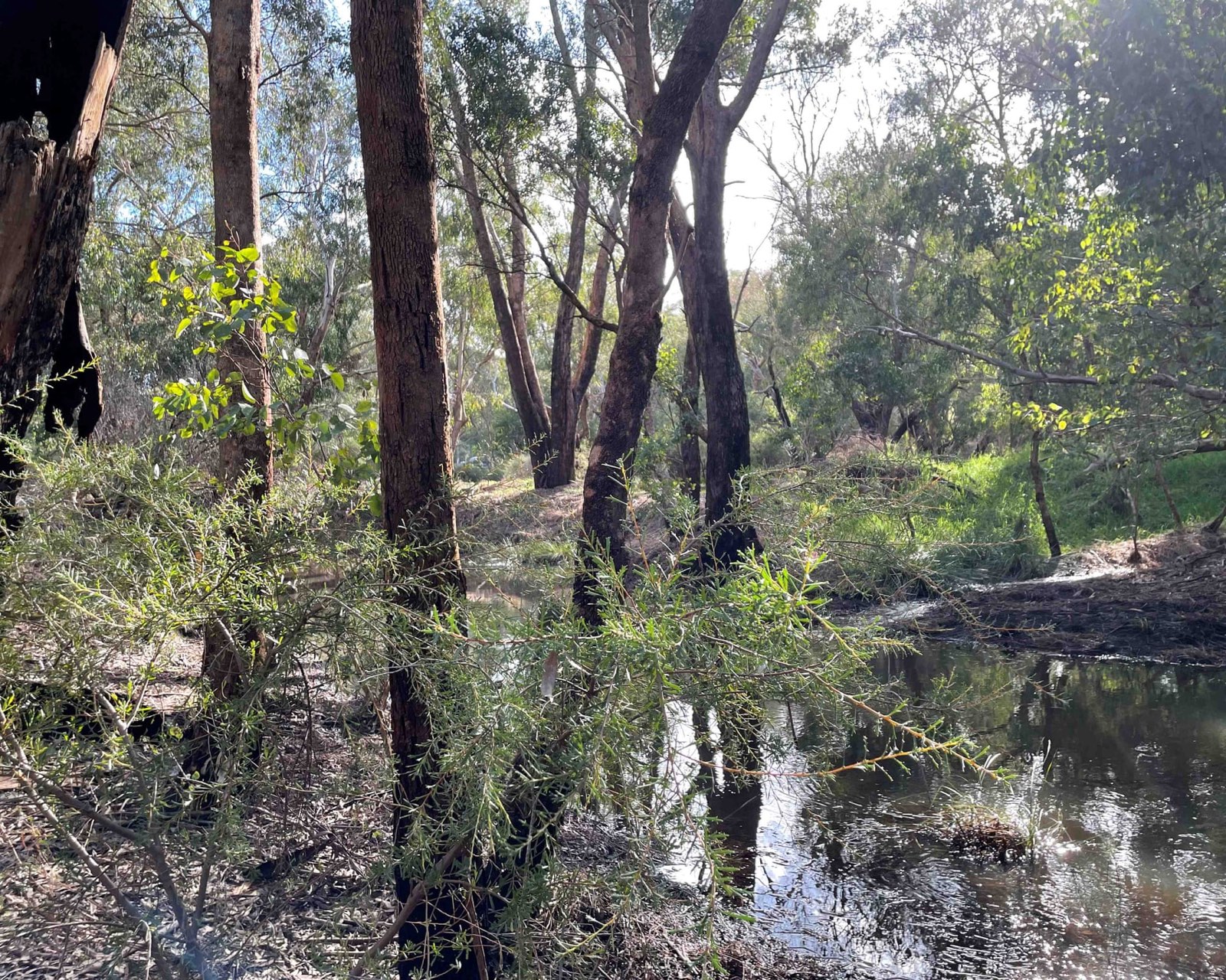 The Helena River and surrounding bushland near the proposed data-centre site in Hazelmere.